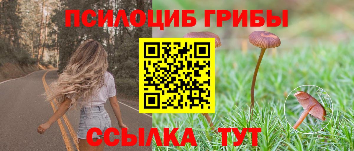 Галлюциногенные грибы мухоморы Семёнов